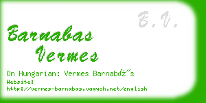 barnabas vermes business card